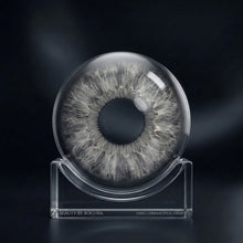 Urban Steel Gray Lens