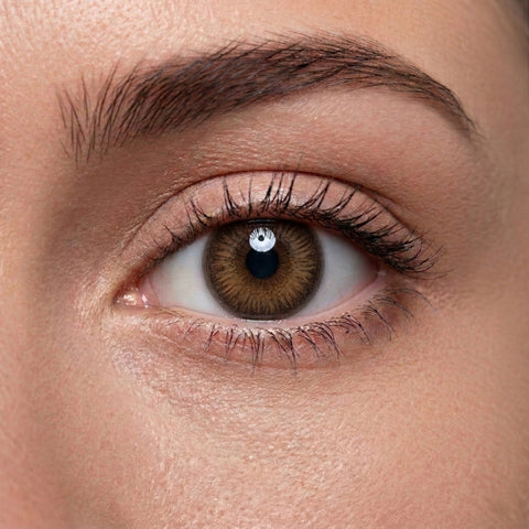 Warm Mocha Brown Lens